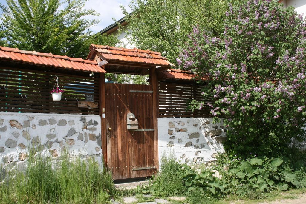 Guest House Kamenik Yagodina Bagian luar foto