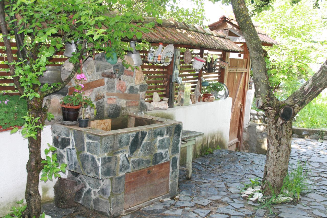 Guest House Kamenik Yagodina Bagian luar foto